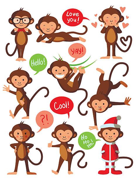Best Monkey Giving Thumbs Up Illustrations Royalty Free