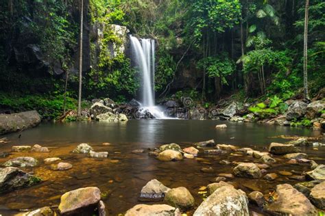 Curtis Falls In Mount Tamborine National Park On The Gold Coast Stock
