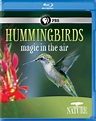 Nature: Hummingbirds: Magic in the Air [Blu-ray] [2010] - Best Buy