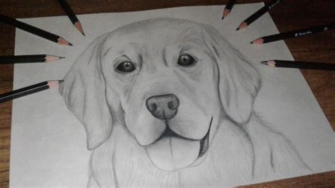 Dibujando Un Perro Realista Drawing A Realistic Dog Youtube