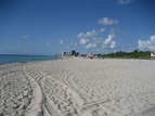 Haulover Beach , USA | Beaches in Miami | Holidify