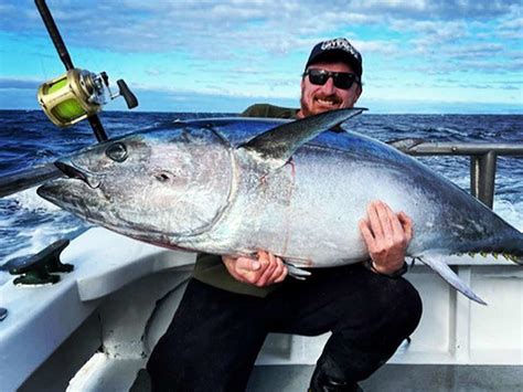 Southern Bluefin Tuna Thunnus Maccoyi How To Catch Video