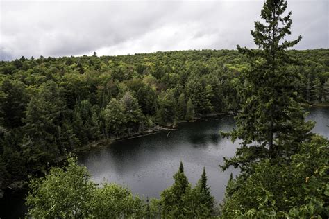 Forest And Landscape And Lake From Hemlock Bluff At Algonquin