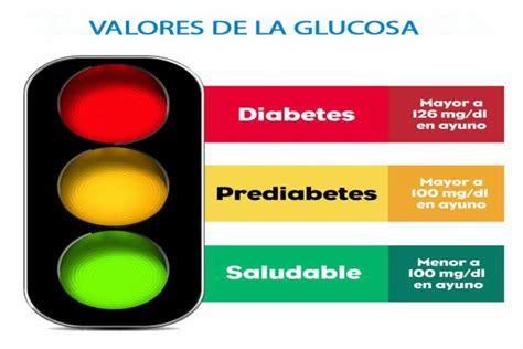 Cu Les Son Los Valores Normales De La Glucosa En La Sangre
