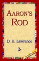 Aaron's Rod, D H Lawrence | 9781595406187 | Boeken | bol.com