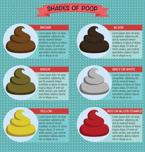 Poop Stool Color Changes Color Chart And Meaning Healthy Concep Stock