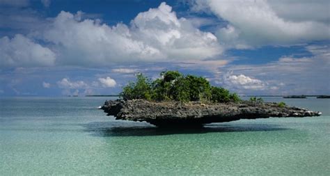 Aldabra Atoll Seychelles Best Places To Visit In The World