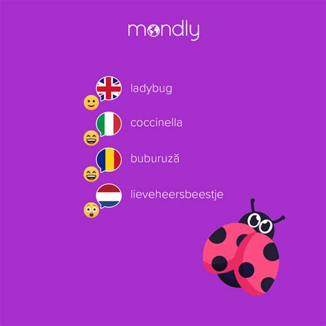 Slow down, Dutch! 😩 🐞 What do you call them in your language? 🇺🇸🇩🇪🇪🇸🇮🇹 ...