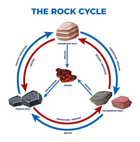 Chemical Sedimentary Rock Diagram