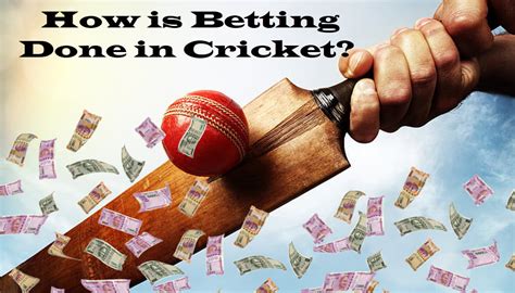 How Is Betting Done In Cricket See Blogs Related To Cricket Win And