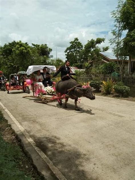 Newlyweds Riding A Carabao Drawn Carriage Become Internet Stars As