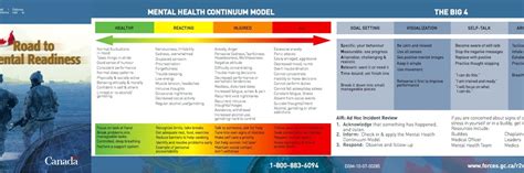 Behavioral Health Continuum Of Care Model Self Assessment Phc