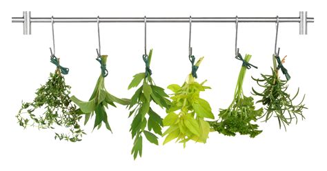 Herb Png Transparent Images Png All
