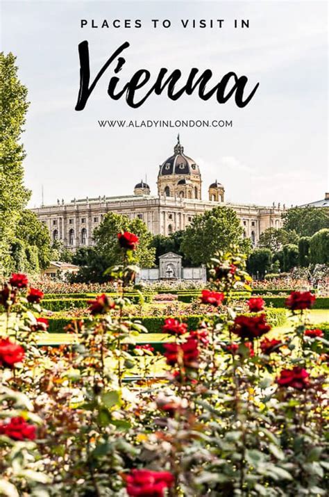 Places To Visit In Vienna A Guide To Finding Your Own Best Experiences