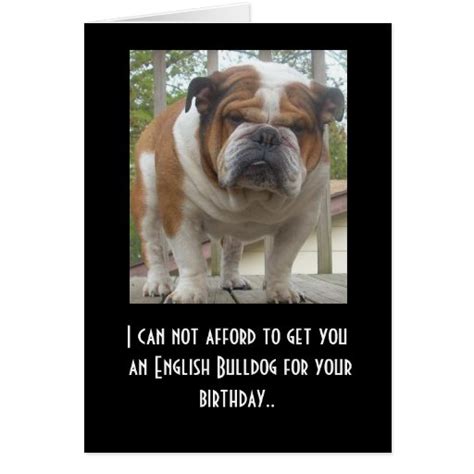 Funny English Bulldog Birthday Card Zazzle