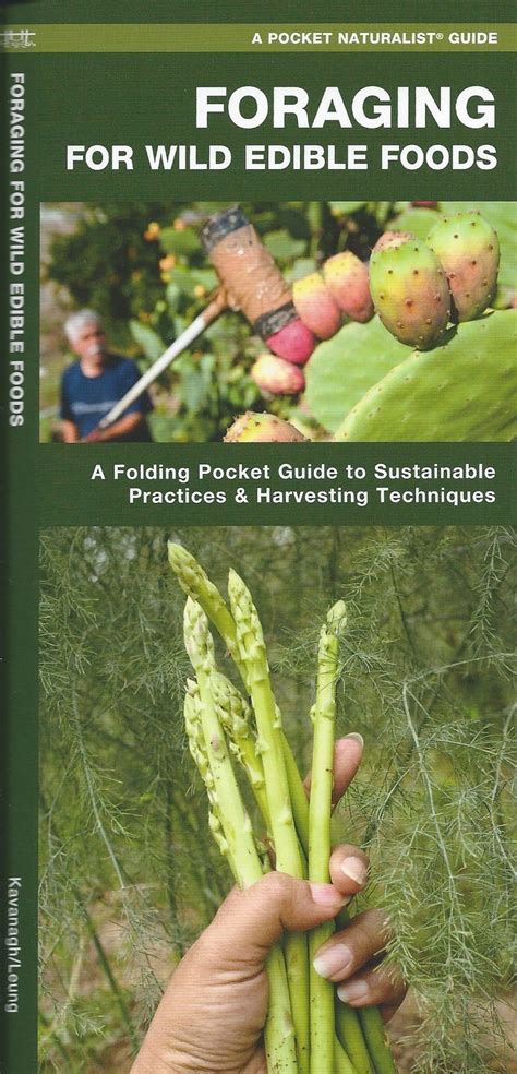 Foraging For Wild Edible Foods Pocket Naturalist Guide