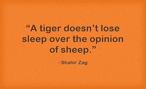 “a tiger doesn t lose sleep over the opinion of sheep ” quozio