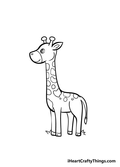 Giraffe Drawing How To Draw A Giraffe Step By Step