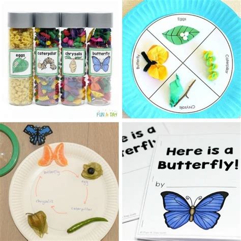 Butterfly Life Cycle Activities The Kids Will Love Laptrinhx News