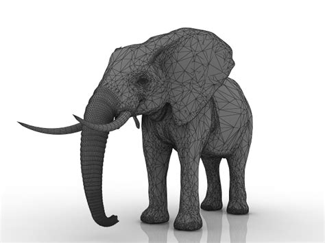 Elephant Free 3d Models
