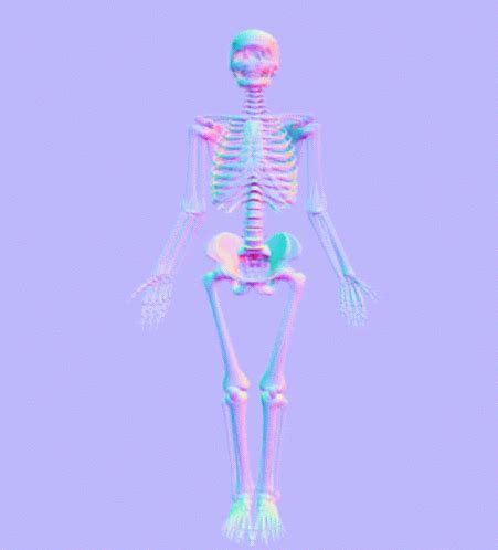 Anatomy Skeletal GIF Anatomy Skeletal Skeleton Discover Share GIFs
