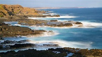 Visit Phillip Island: Best of Phillip Island Tourism | Expedia Travel Guide
