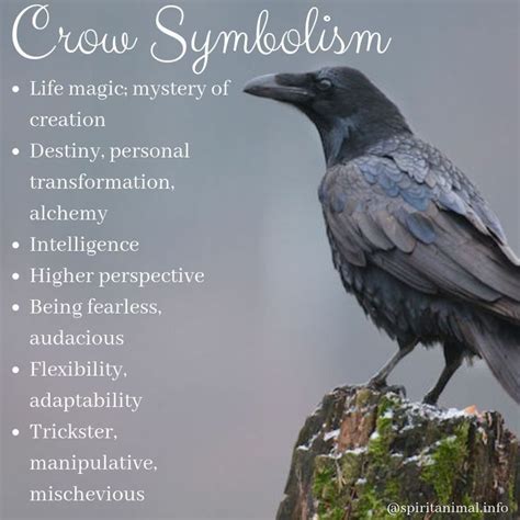 Pin By Dh Williamson On Crebain Crow Spirit Animal Spirit Animal