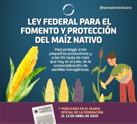 Ley Federal Para El Fomento Y Protección Del Maíz Nativo Revista