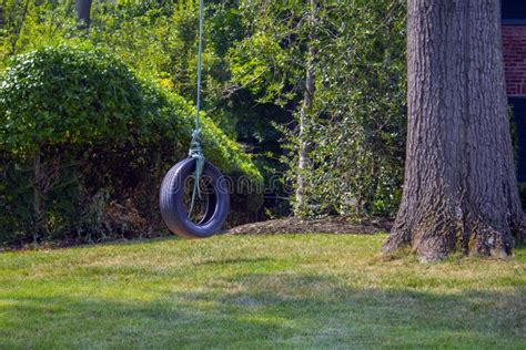 Home Made Fun Black Old Tire Swing Roped On A Tree Limb Stock Photo