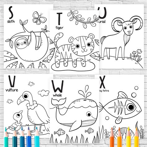 Alphabet English Coloring Book Wild Animals Colorings Etsy