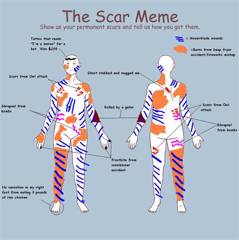 scar meme by sydneyprimal on deviantart