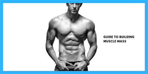 Guide To Building Muscle Mass