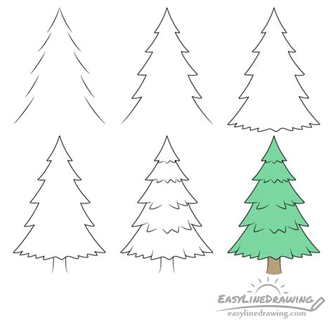 How To Draw A Pine Tree Step By Step Easylinedrawing