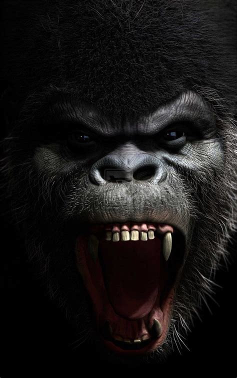 Angry Silverback Gorilla Agresivo Alpha Primate T Mma Fighters Fondo
