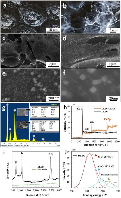 Materials Characterization Ab Fesem Images Of Bare Dleg Ce And