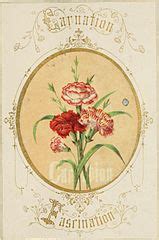 Floral Design: Definition & History | Study.com One of the problem areas i see with many diy floral designers is their lack of knowledge and experience in these areas.