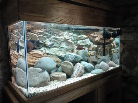 An Aquarium With Rocks And Gravel In It