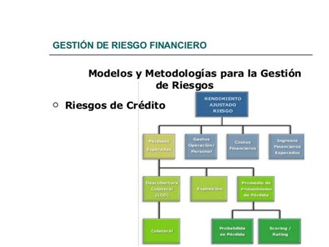 Presentacion Gestion Del Riesgo Financiero