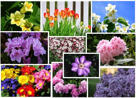 April Showers Bring These May Flowers Avas Flowers