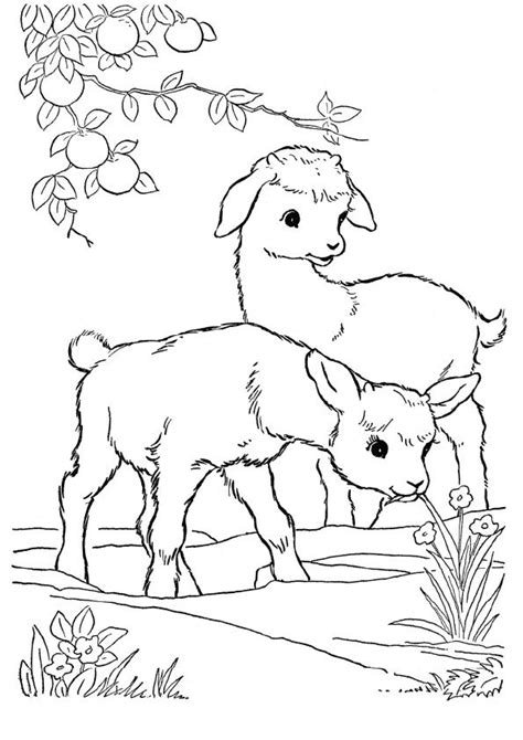 Free Goat Coloring Pages Printable Goat Coloring Pictures Worksheets