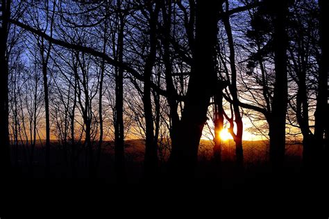 Winter Woods Sunset Julian Fraser Photography Flickr