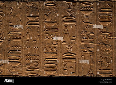 Hieroglyphs In Philae Temple Egypt Stock Photo Alamy
