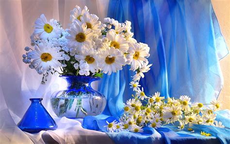 Flowers Camomile Registration Typography Bouquet Vase Hd Wallpaper