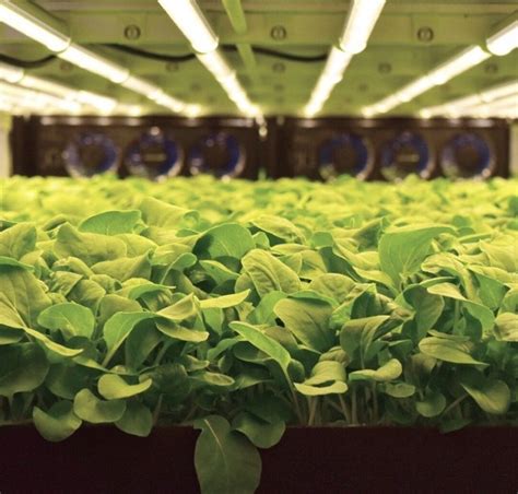 Aerofarms A Mission Driven Vertical Farm