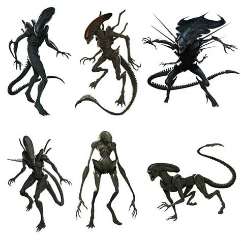 Pick Your All Time Favorite Xenomorph From The Alien Franchise Art By