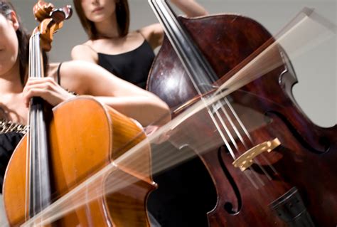 Cello Vs Bass Explained The Differences Explained And Why I Love The