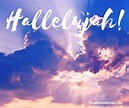 Word for the Day: Hallelujah!