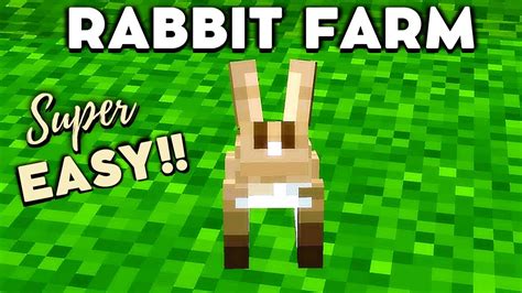 🐇simple Easy Minecraft Rabbit Farm Tutorial Bedrockjava 118 Youtube