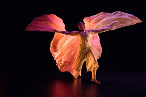 antonia k miranda dance and performance photography video fabric flights in the night