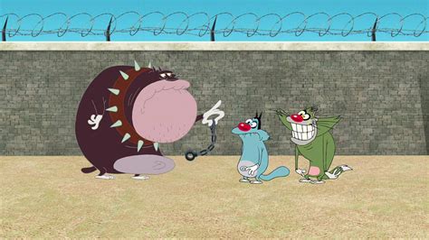 Watch Oggy And The Cockroaches Season 3 Episode 35 Telecasted On 30 06